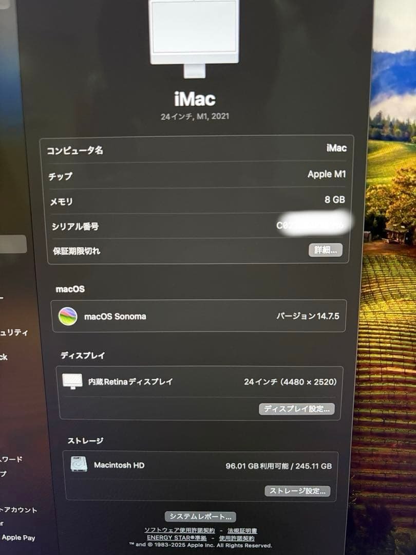 iMac 24インチ 2021年モデル　Magic Trackpad付